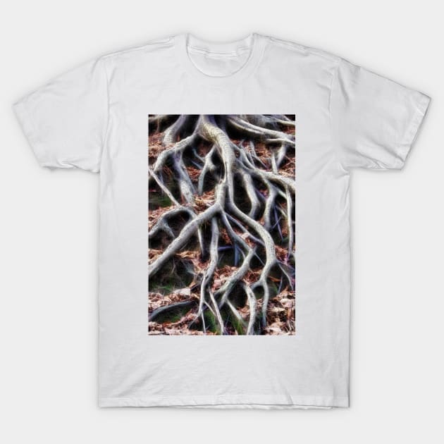 Meandering tree roots T-Shirt by avrilharris